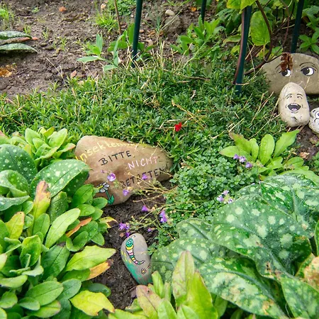 別荘 Deichgefluester *